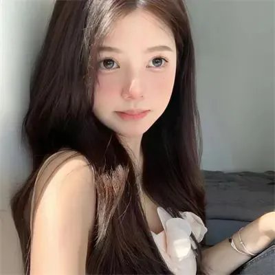 汽车女窃贼