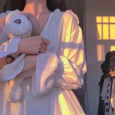 女巡特警之蜂鸟突击队